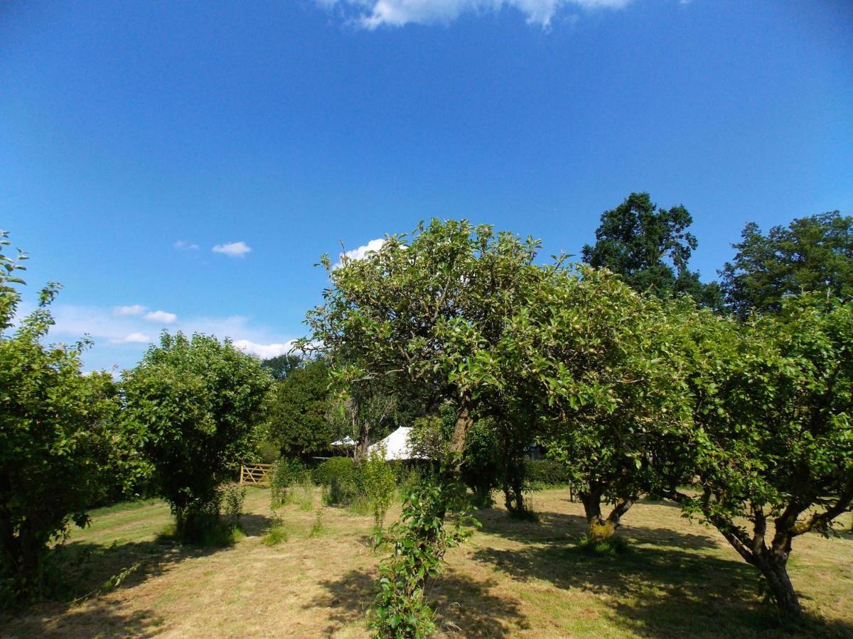 Hope Cottage Bell Tent Retreat Ashbourne  Exterior photo